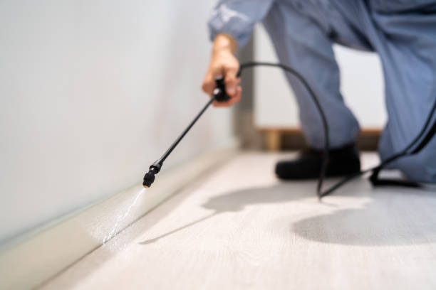 Licensed Cockroach Control service in Burgettstown, PA - Nex Pest Control