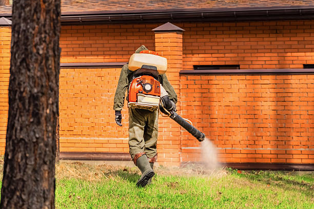Trusted Bed Bug Control service in Burgettstown, PA - Nex Pest Control